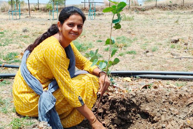 asst-director-planting-tree