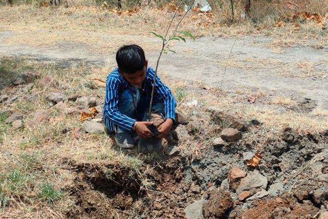 child-planting-tree