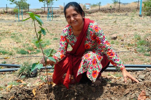 guest-planting-tree