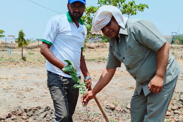 guest-planting-tree2