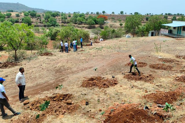 preparation-for-planting