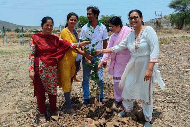 team-members-planting-tree-1