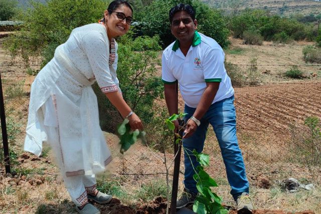 teammembers-planting-tree