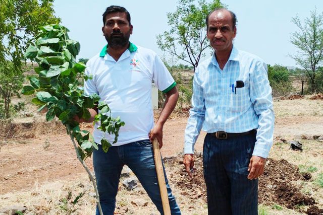 visitor-planting-tree