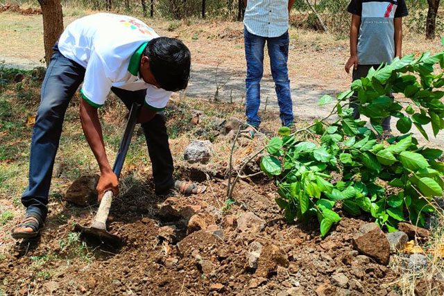 volunteer-working-2