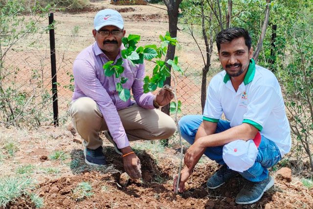 volunteers-planting