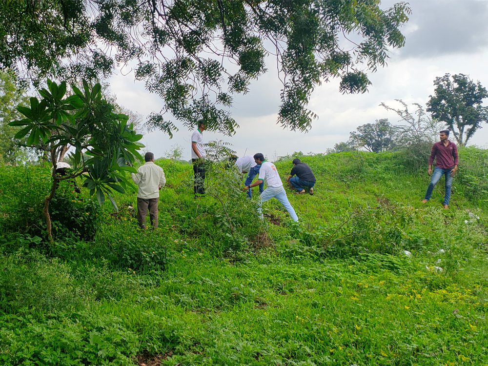 Tree Plantation Drive at Bare Mala Sarola Kasar on 30th July 2022