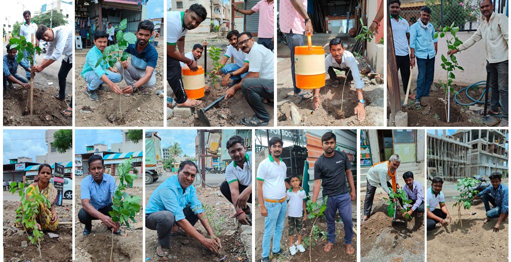 pipeline-road-tree-plantation