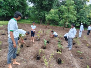 On the occasion of Independence Day, August 15, 2025, a plantation of 155 indigenous trees using the Miyawaki method was carried out at the premises of ZP School, Vambori (Rahuri), by team Girikarnika Global Foundation. This tree plantation drive received special support from Gram Sevak Mr. Salve and Catalysts for Social Action (CSA). Nature enthusiasts from the local area and the Girikarnika team were also present during the event. Heartfelt thanks to all the nature lovers who contributed and supported this initiative.